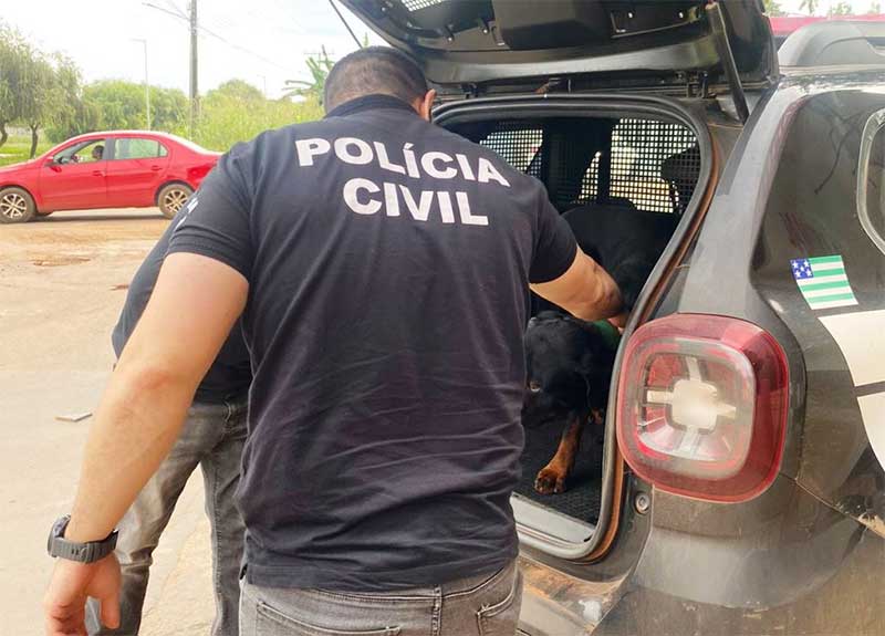 Maldade e ignorância: homem que espancava cachorro com corrente é indiciado pela Polícia Civil de GO