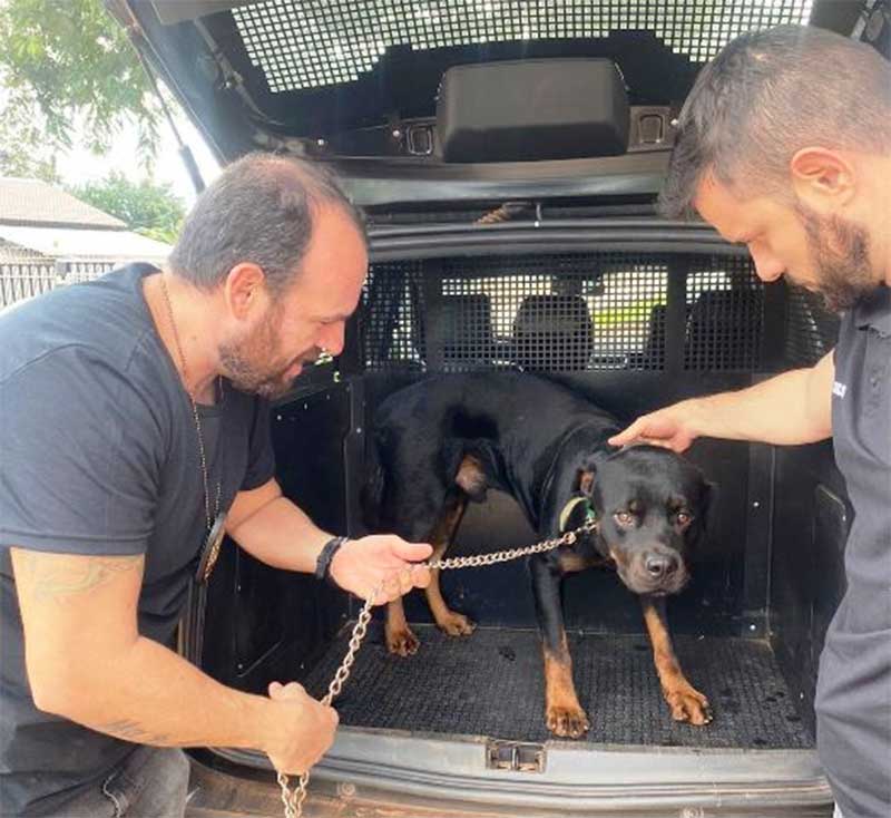 Doutor José Antonio Sena (direita) e sua equipe resgataram e entregaram o animal para ser, após tratamento veterinário, encaminhado para adoção.