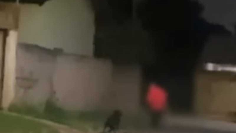 Vídeo mostra homem espancando cachorro com corrente; imagens fortes