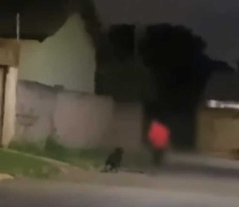 Vídeo mostra homem espancando cachorro com corrente; imagens fortes