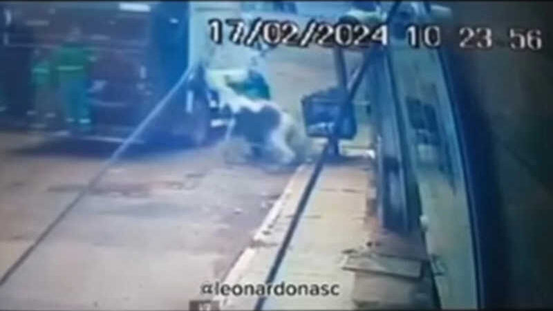 Em Goiás, gari ataca cavalo a socos e joga animal contra o chão