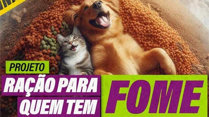 Ração para quem tem fome: ação distribuirá alimentação para animais resgatados em Belo Horizonte