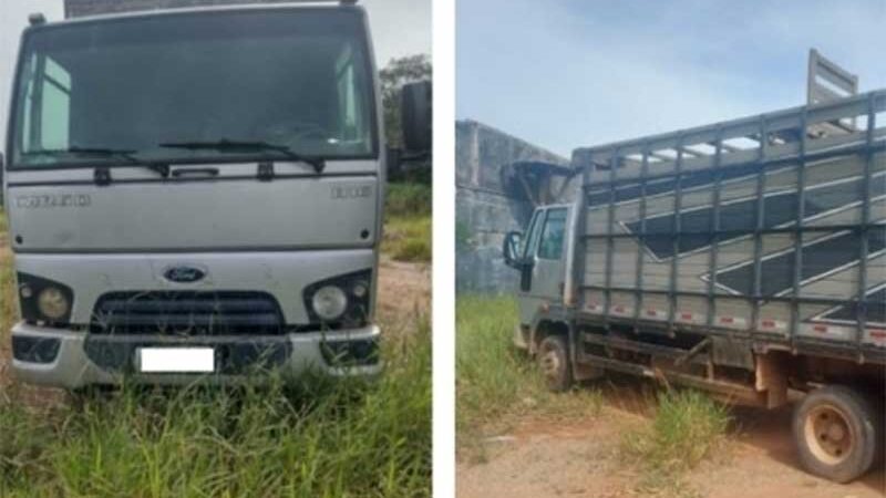 Homem é acusado de deixar bezerros na carroceria de caminhão em Lavras (MG) por dois dias sem água e comida