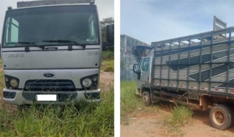 Homem é acusado de deixar bezerros na carroceria de caminhão em Lavras (MG) por dois dias sem água e comida