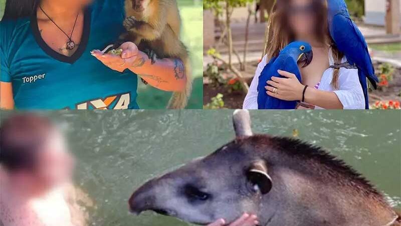 Ministério Público fecha o cerco para turismo com animais em Bonito, MS