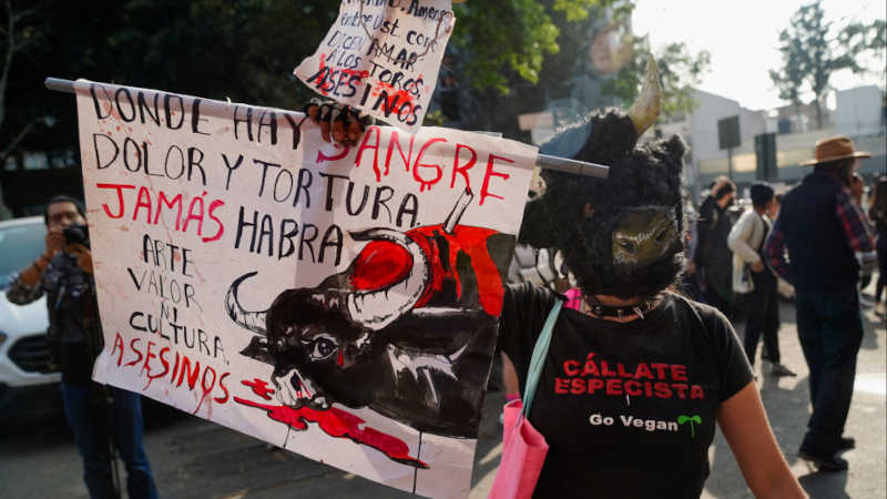 Ativistas protestam contra regresso de touradas à Cidade do México