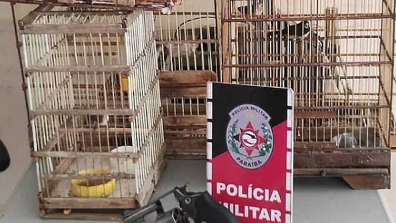 Polícia Militar prende homem por manter animais silvestres em cativeiro no Vale do Piancó, na PB