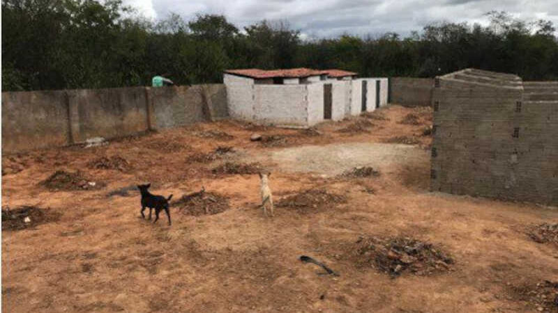 Prefeitura de Juru (PB) é denunciada por negligência e falta de alimentação a animais em canil municipal; animais viviam em “condições deploráveis”