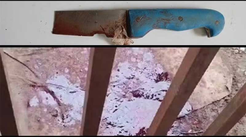 Homem é preso suspeito de matar os próprios cachorros a facadas, em Valença do Piauí