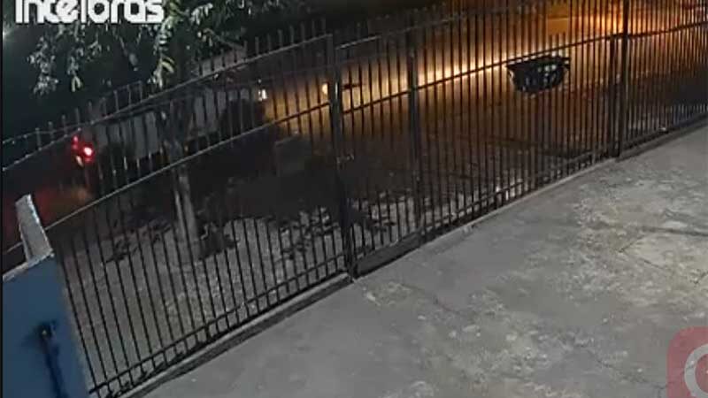 Motorista atropela cachorra grávida em Cidade Gaúcha, PR; crime foi flagrado por câmeras de segurança