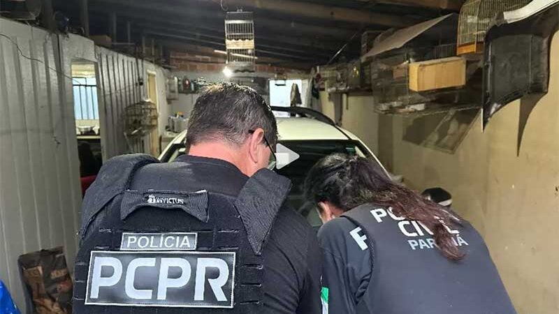 Operação investiga tráfico de animais silvestres em todo Brasil