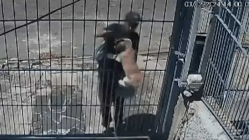 Homem sequestra cachorro por grade de portão no RS