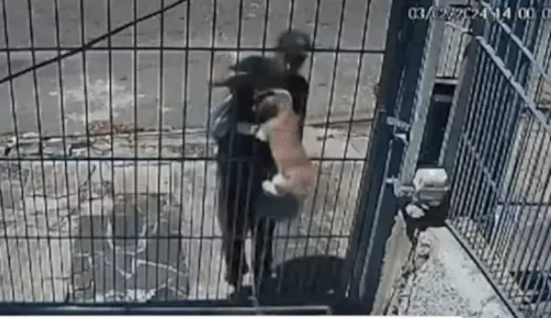 Homem sequestra cachorro por grade de portão no RS
