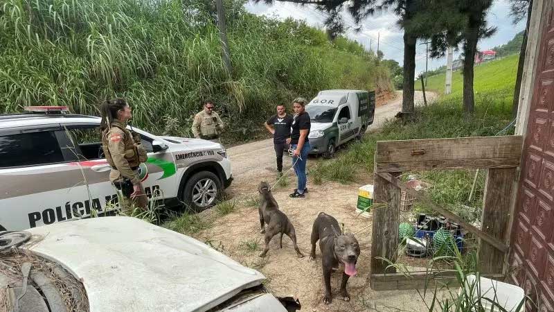 Quatro cães em condições precárias são resgatados em Tijucas, SC