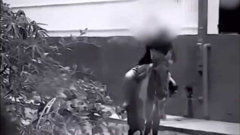 Homem é flagrado agredindo e vomitando em cavalo no bairro Azambuja, em Brusque, SC; vídeo