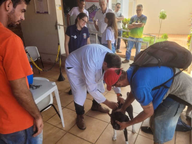 Ação inédita da prefeitura imuniza cães de moradores em situação de rua em Marília, SP
