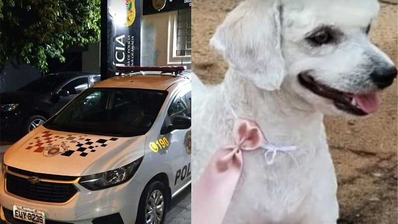 Polícia Militar prende homem que matou cachorro da enteada em Palestina, SP