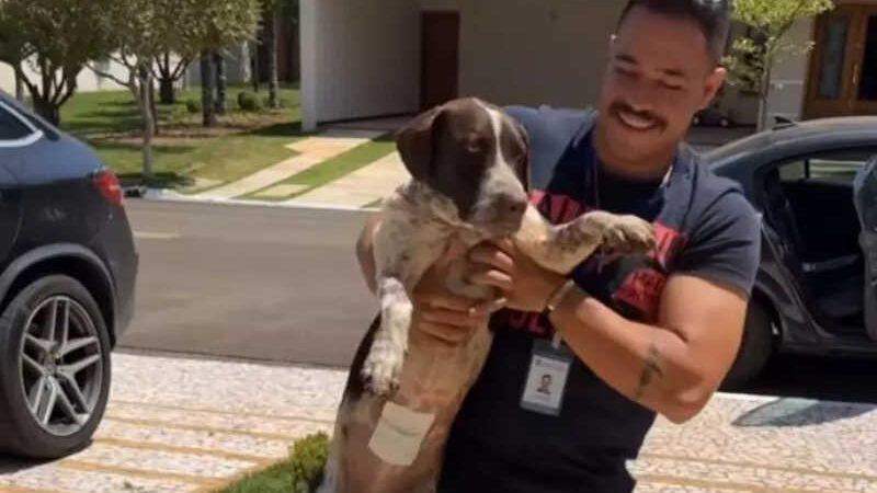 ASSISTA: CCZ castra cães de secretário e entrega em domicílio com carro oficial em Piracicaba, SP