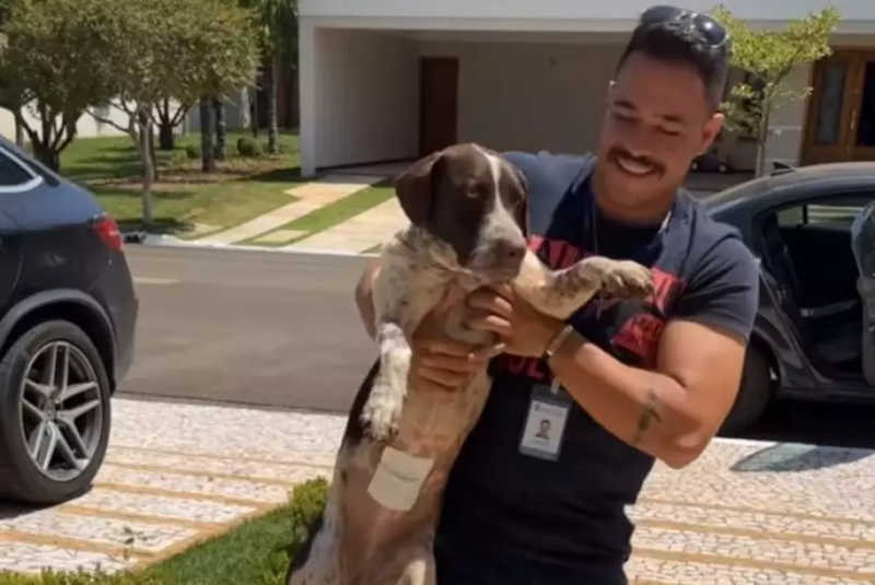 ASSISTA: CCZ castra cães de secretário e entrega em domicílio com carro oficial em Piracicaba, SP