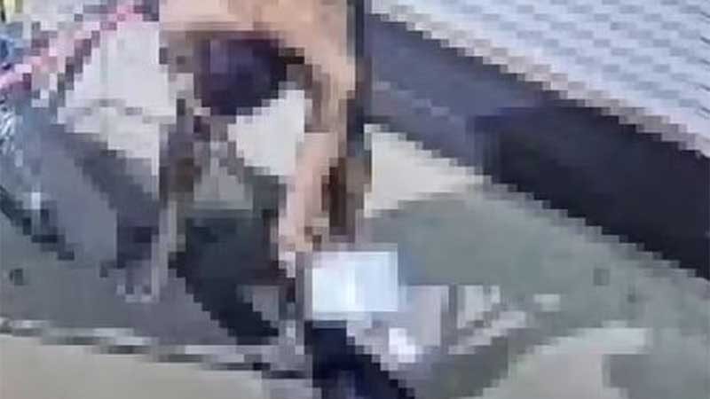 Cachorro é arrastado, agredido com chineladas e chutes no Centro de Rio Preto, SP; vídeo
