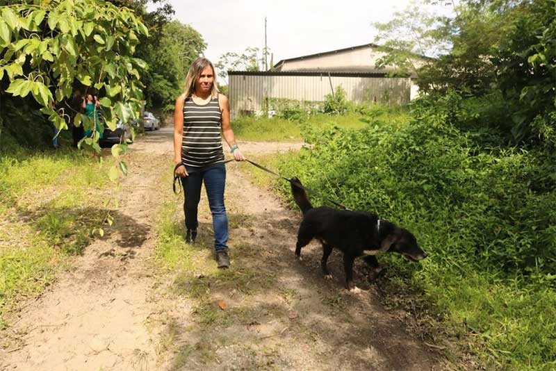 Banco de rações de Santos (SP) abre inscrições para tutores de animais receberem doações