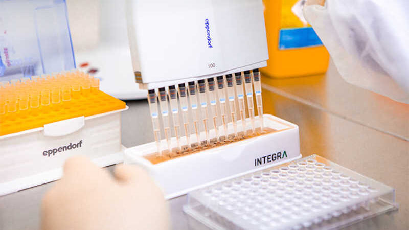 Instituto Butantan se engaja para substituir animais em testes de soros e vacinas