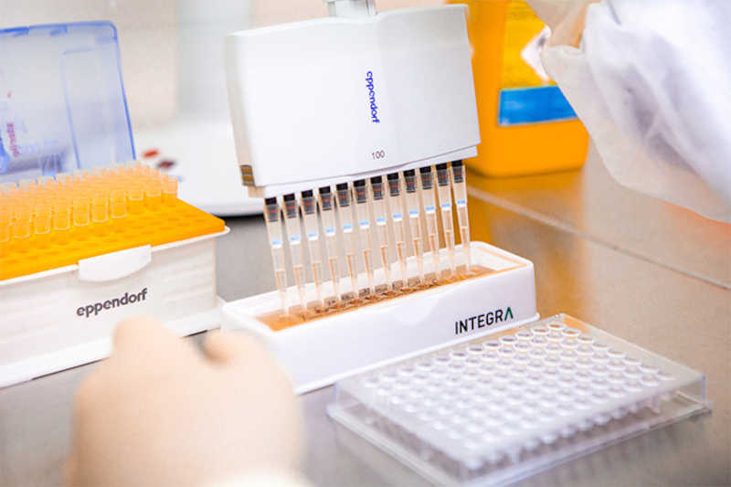 Instituto Butantan se engaja para substituir animais em testes de soros e vacinas