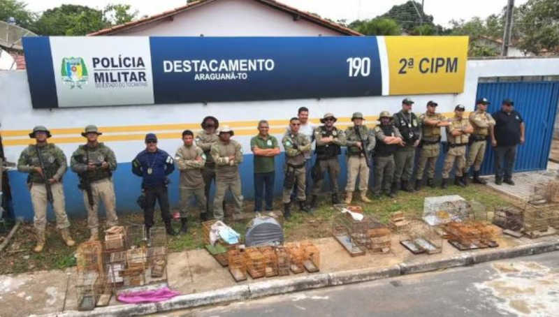 Policiais e fiscais fizeram o resgate dos animais silvestres — Foto: Naturatins/Governo do Tocantins