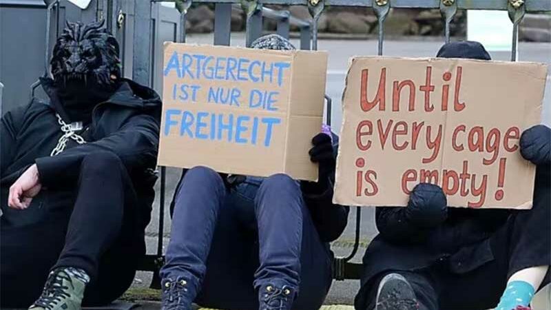 Ativistas dos direitos dos animais bloqueiam o zoológico de Nuremberg, na Alemanha