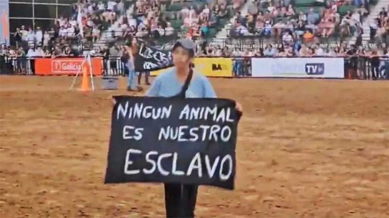 Ativistas pelos direitos dos animais interrompem uma exibição de cavalos na Argentina