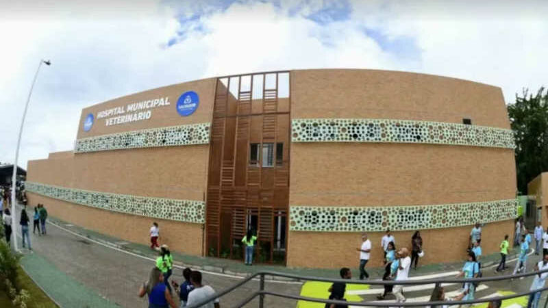 Hospital Público Veterinário é inaugurado em Salvador; veja serviços