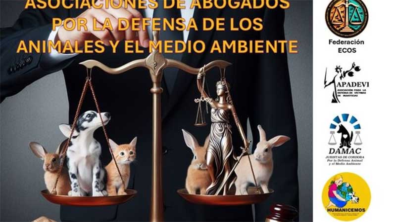 Nasce a Federação Nacional das Associações de Advogados pelos direitos dos animais na Espanha