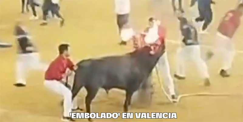 Espanha: os touros ‘embolados’ regressam a Valência graças ao PP e Vox após 8 anos de restrições