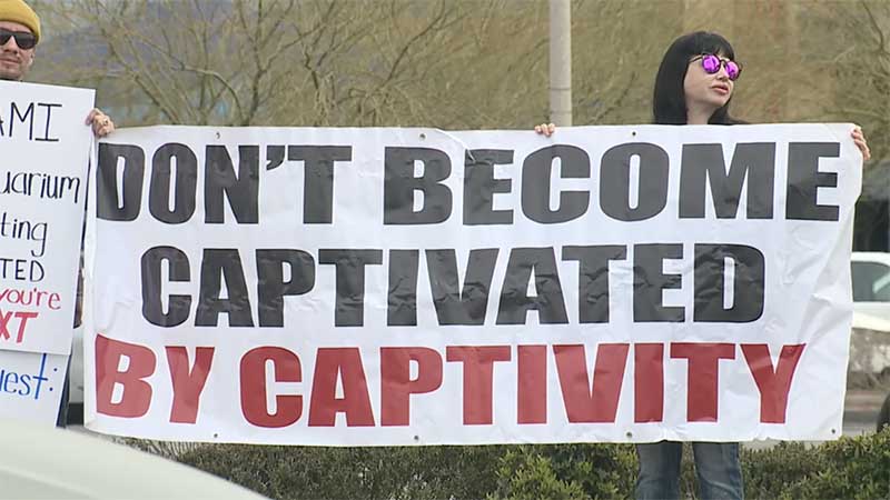EUA: ativistas se mobilizam para fechar o aquário interativo de Las Vegas
