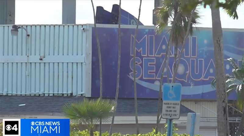 Miami Seaquarium enfrenta despejo, mas e os animais?