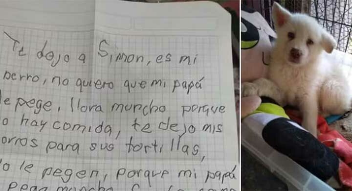 Menino de 9 anos deixa cachorro em abrigo para salvá-lo de maus-tratos: “Não quero que meu pai bata nele”