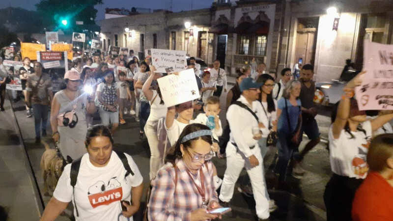 Marcha contra o abuso de animais no México