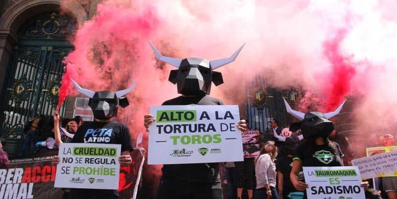 “Muito Chocante para a TV?” Um anúncio sobre touradas da PETA Latino é rejeitado, mas a tortura de touros continua sendo televisionada.