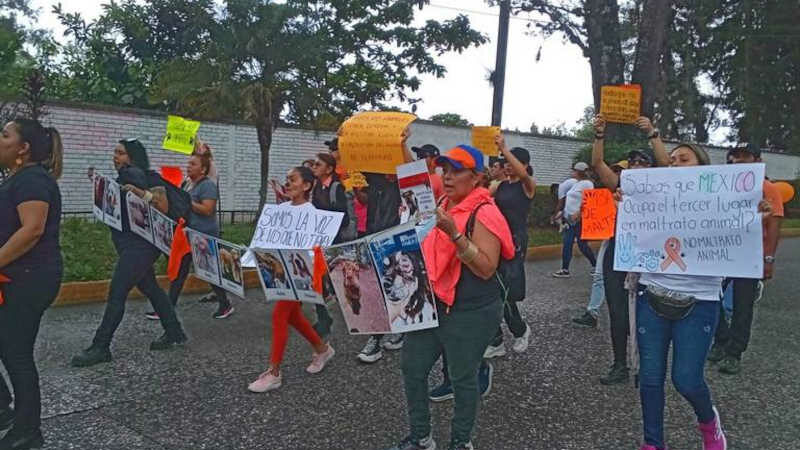 México: marcha em Xalapa exige punições mais severas por abuso de animais