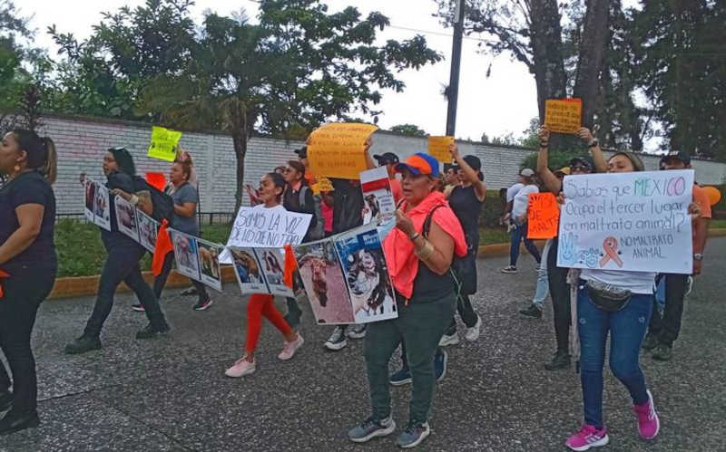 México: marcha em Xalapa exige punições mais severas por abuso de animais