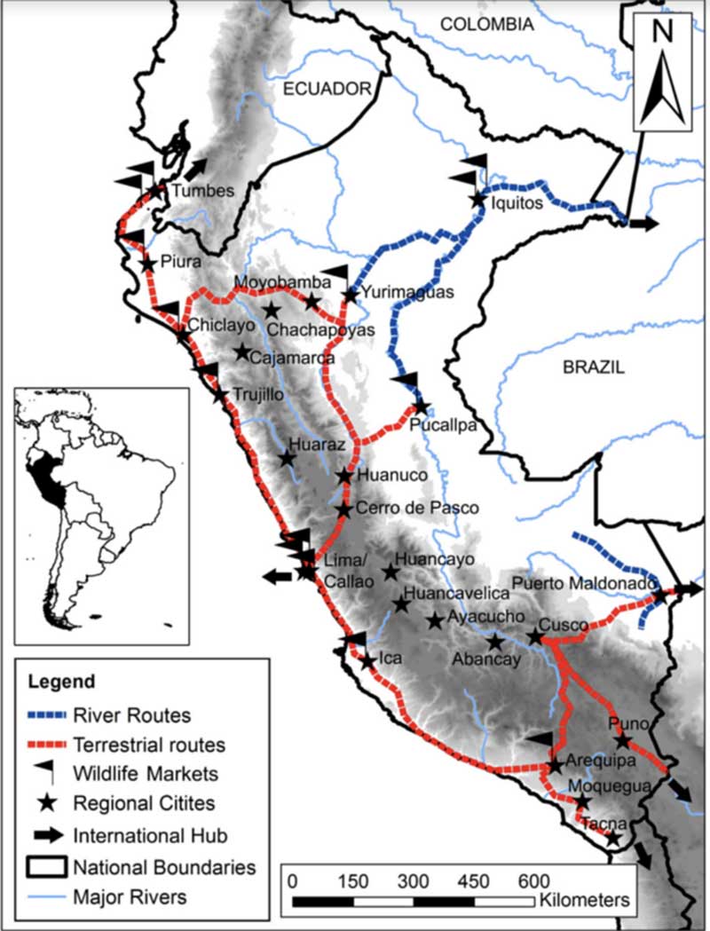 Principais rotas de tráfico para o comércio ilegal de primatas no Peru. Mapa cortesia de Shanee et al.