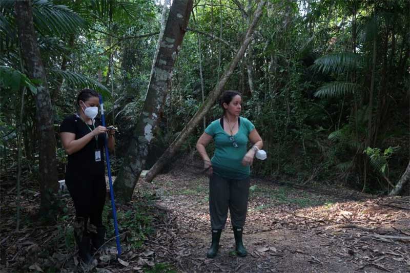 Alessandra Nava, pesquisadora da Fundação Oswaldo Cruz, acredita que o tráfico de animais é uma questão de saúde. Imagem: Arquivo/ Fiocruz Amazônia

