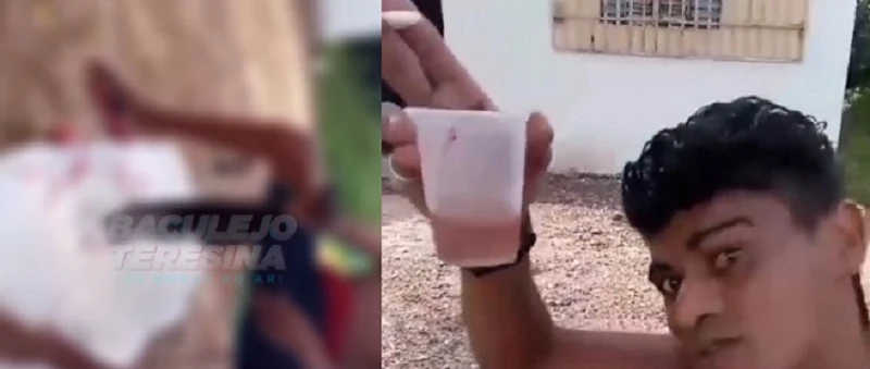 Homem é acusado de matar e beber sangue de gato em Demerval Lobão, PI; vídeo