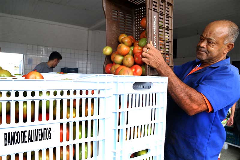 Para zerar desperdício, Banco de Alimentos doa 24 toneladas por mês a animais resgatados no PR