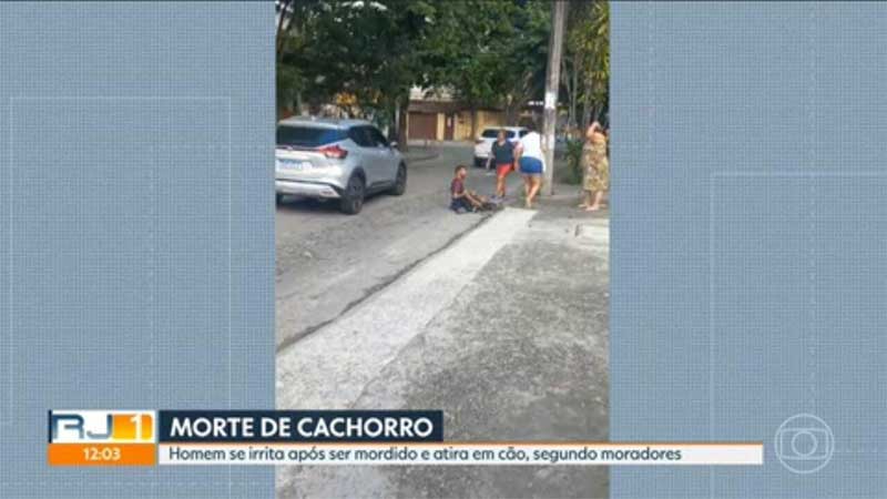 Testemunha diz que não viu sem-teto ser agressivo durante discussão que acabou com cachorro morto no Rio