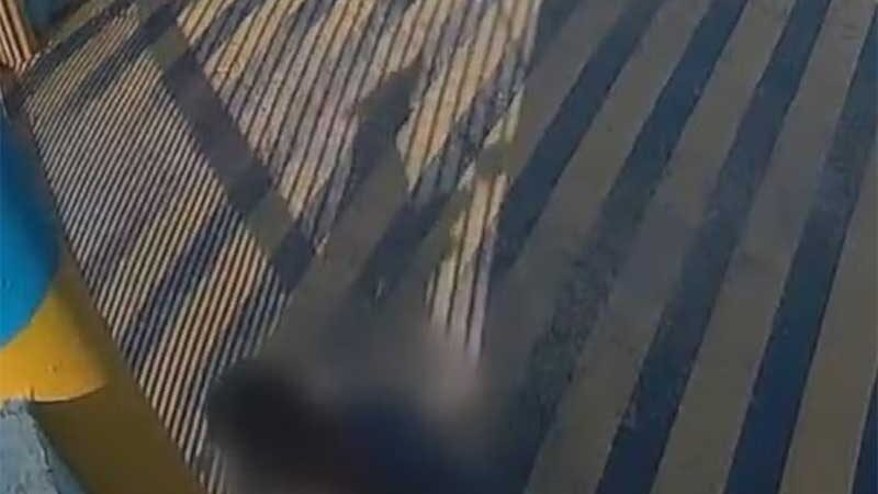 Homem esfaqueia cachorro e é indiciado por maus-tratos no interior do RN; vídeo