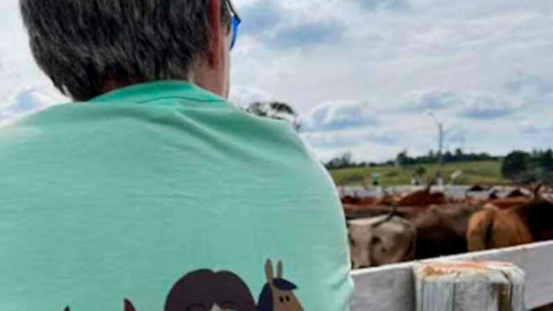 Vereadora é contra sessão da Câmara no Rodeio de Gravataí, RS; Justiça analisa ação contra uso de animais em provas