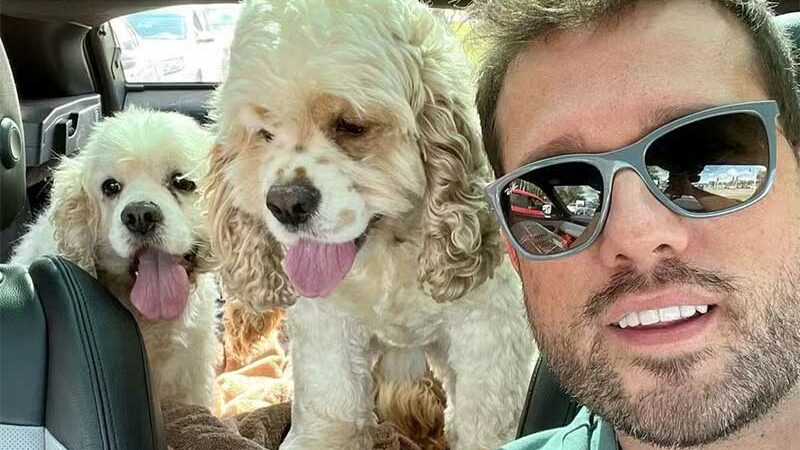 Cão morre e outro perde baço após serem esfaqueados por vizinho que invadiu casa por ‘irritação com latidos’ em Florianópolis
