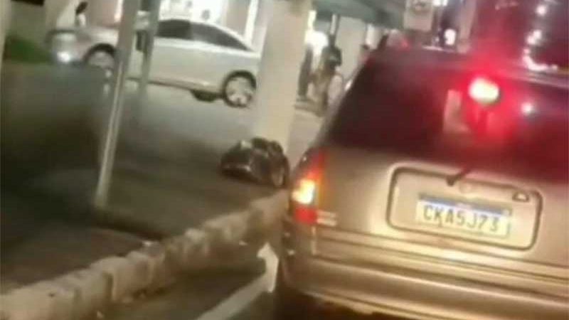 Vídeo flagra gato sendo jogado de carro em Jacareí, SP