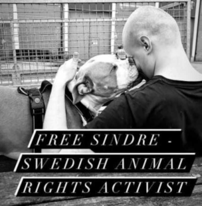 Sindre, um ativista sueco dos direitos dos animais, preso por tempo indeterminado